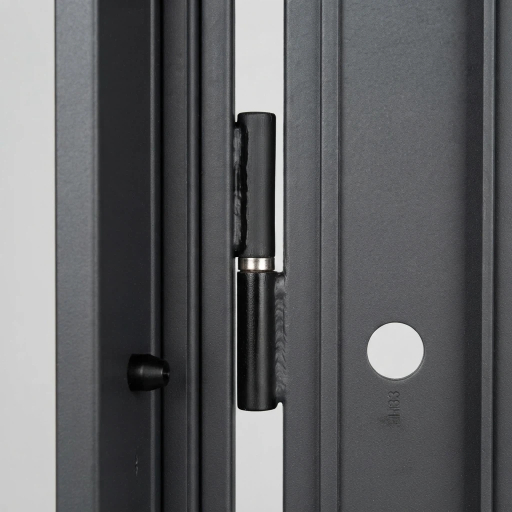 Premium Steel Door for Russia Market High Security Main Entry Door