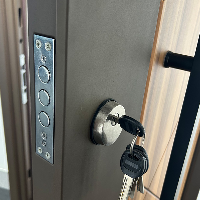 High Quality Customized Steel Exterior Safety Door for Home