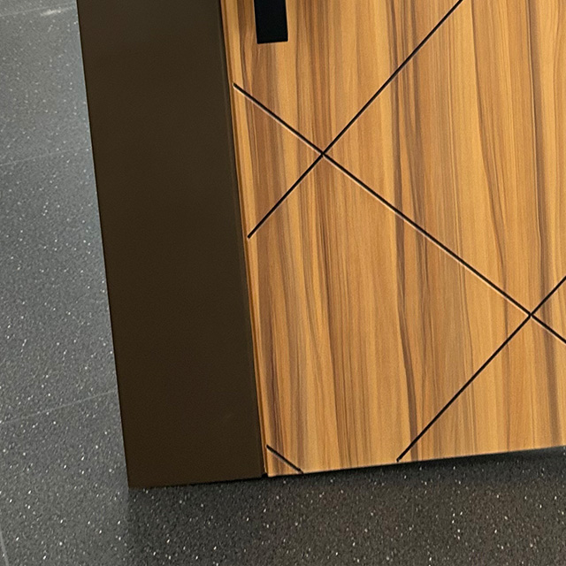 High Quality Customized Steel Exterior Safety Door for Home