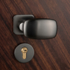 Double Color Security Steel Door