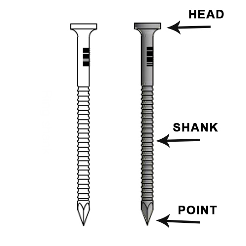 the parts of nails நகங்களின் பாகங்கள்