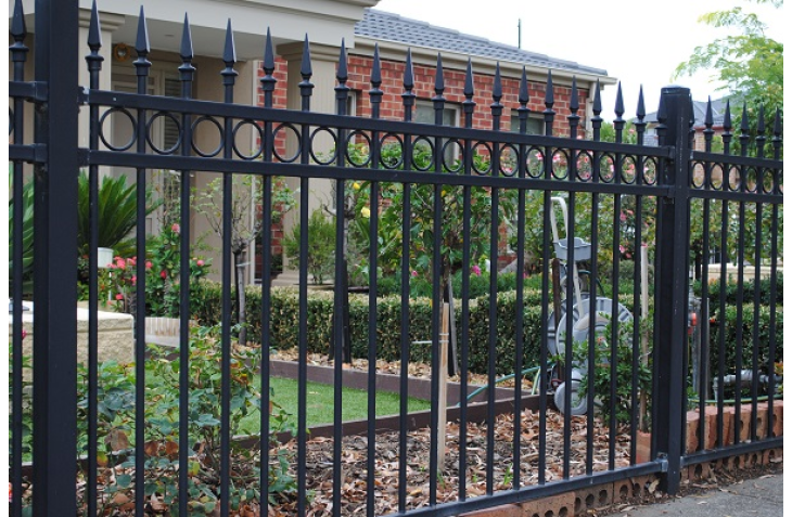 Spearhead Top Iron Fence