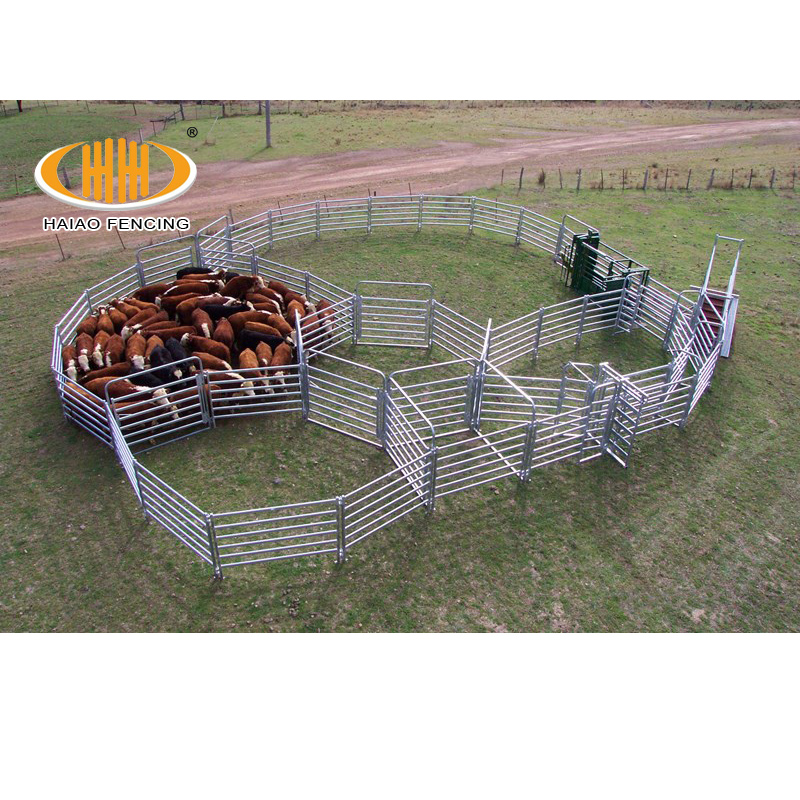 Cattle Panel