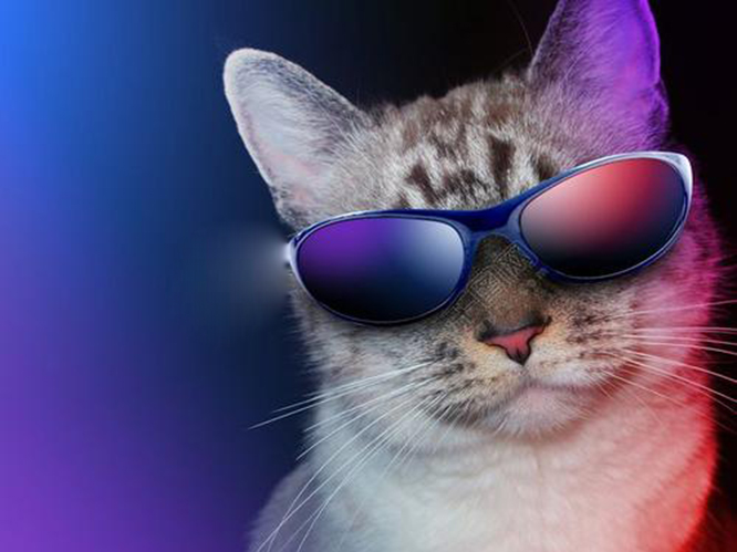 Tips on color-changing glasses!
