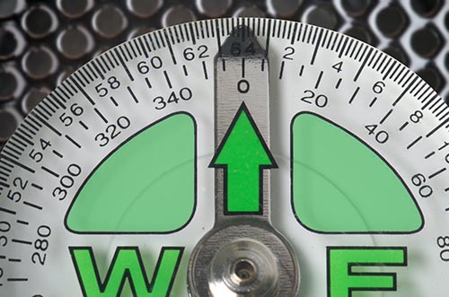 34-2 Animal Platform Weighing Scale 34-2 Animal Platform Weighing Scale