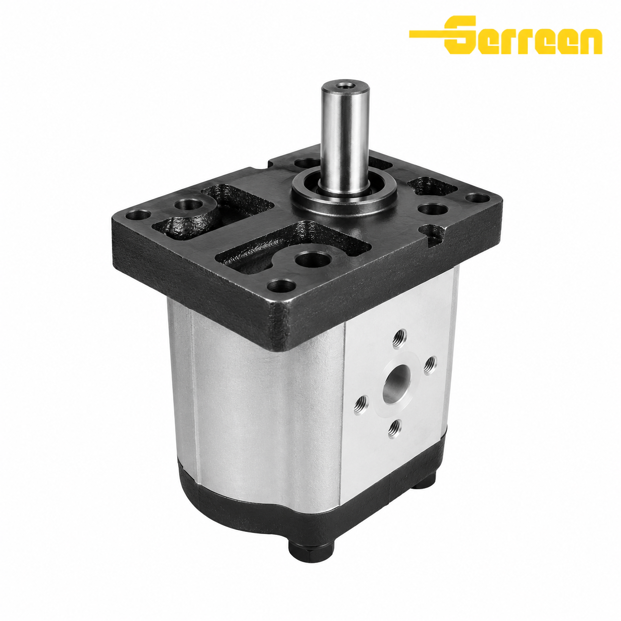 CBN-G300 Series Internal Hydraulic Gear Pump pics תמונות משאבת ציוד הידראולית פנימית מסדרת CBN-G300
