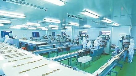 Lighting Requirements for Food Processing Plants, Factories, & Parking Garages: RUNLUX Solution
