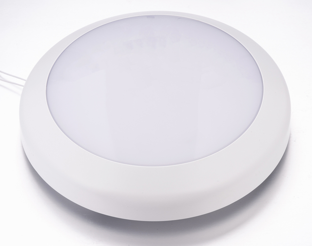 FH-260T IP66 LED Ceiling Lamp Light 12W