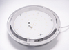 FH-260T IP66 LED Ceiling Lamp Light 12W