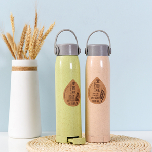Factory Wholesale Wheat Straw Glass Double Wall Water Bottle With Phone Holder