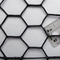 Hexagonal Wire Mesh