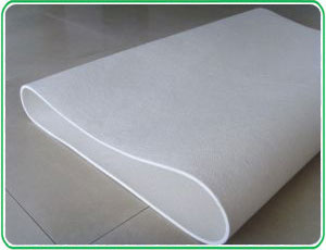 Special Papermaking Felt