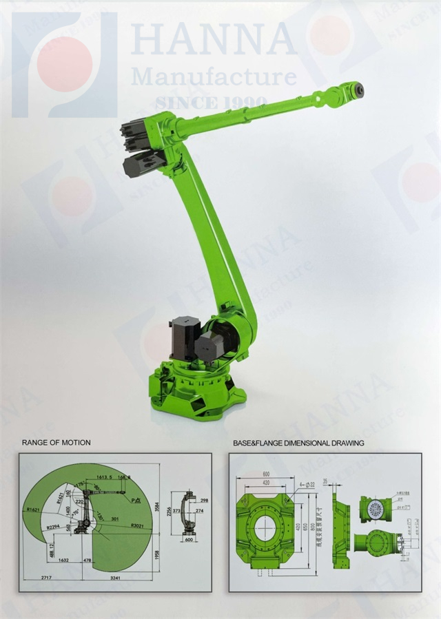 Visual automatic programming robot