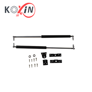 Gas Spring For India Market