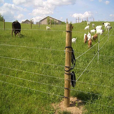 Cattle fencing1.jpg