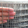 Stainless Steel Welded Mesh