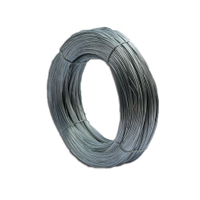 Small Roll Hot-dipped Galvanized Iron Wire