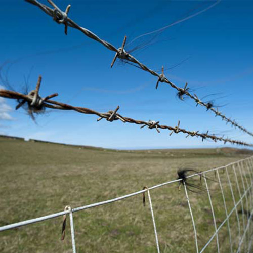 Barbed Wire Fence