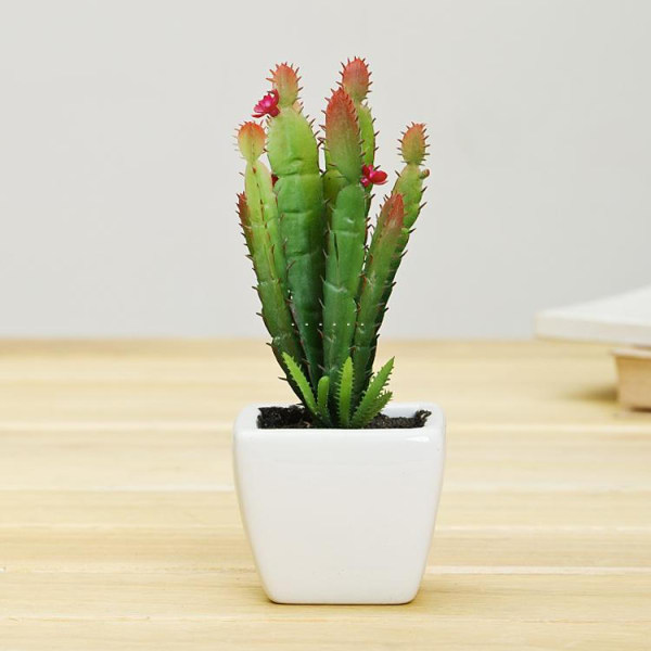 dcabef6e1b1d68f6231b481b8ec4_750_750_1_1.c5