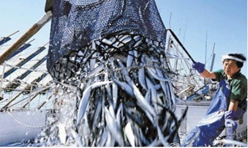 5301 Ring Mesh Gloves with Silicone Rubber Strap Full Hand Protection