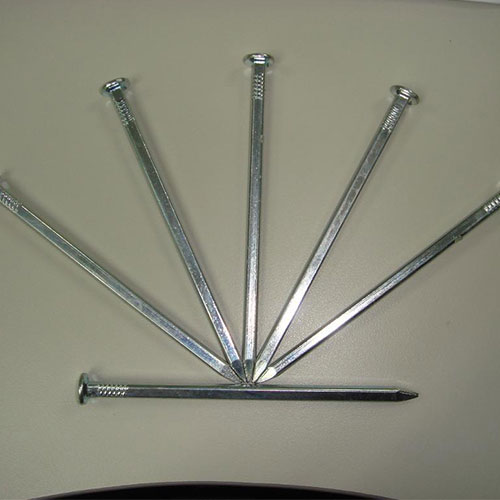 Common Iron Nails