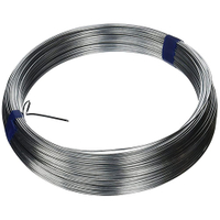 Galvanized Iron Wire