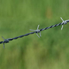 Double Strand Twist Barbed Wire