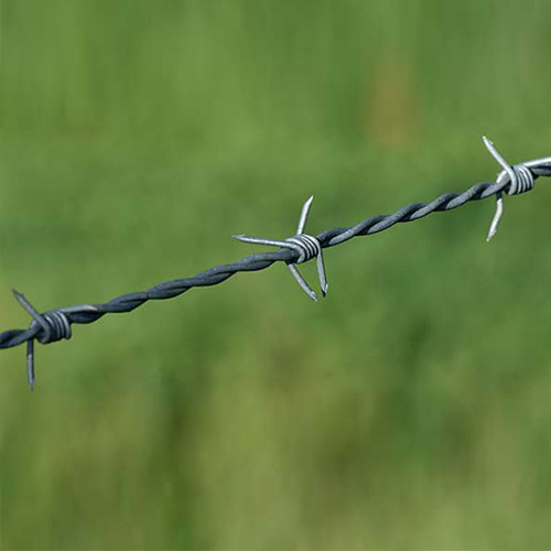 Double Strand Twist Barbed Wire