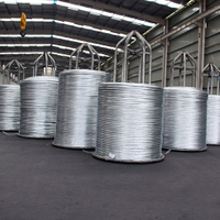 Hot-dip Galvanized Iron Wire