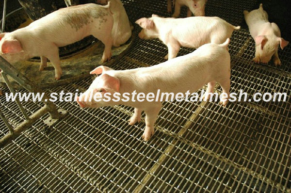 Pig Raising Crimped Mesh