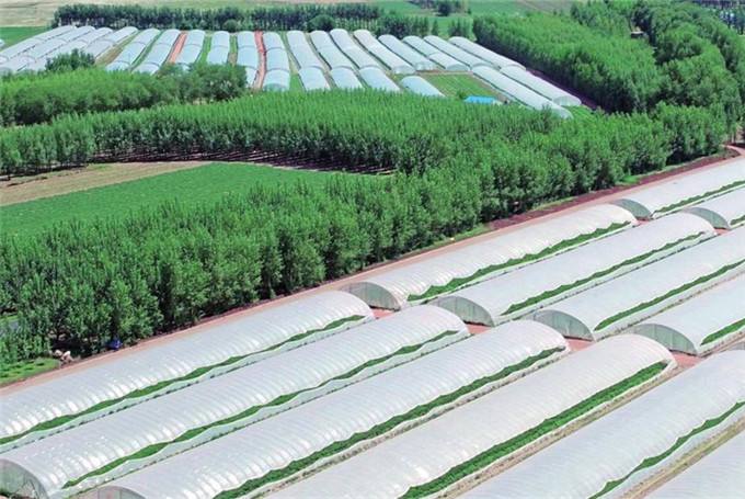 Fluorine-containing anti-fogging , Anti-dripping agents, main used to enhance the anti-fogging ,anti-dripping agricultural film.