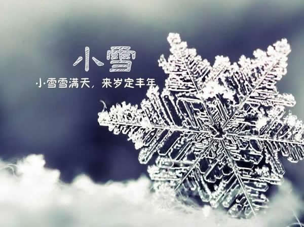 Выставка цементного бетона в Хошимине, Вьетнам