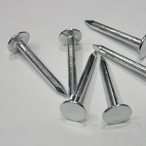 Common Iron Nails