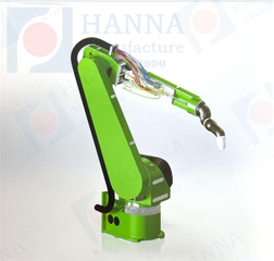 Visual automatic programming robot