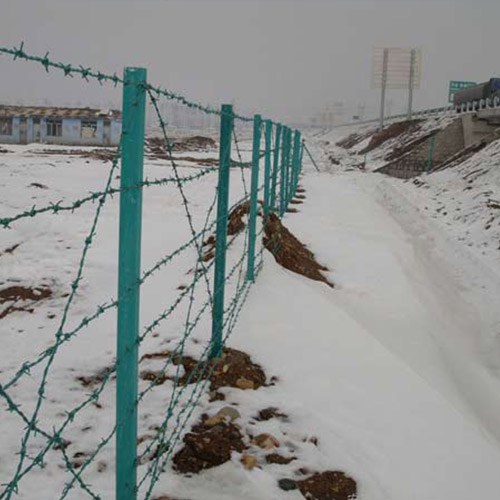 Barbed Wire Fence