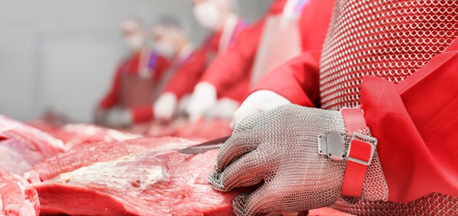 Welded Ring Mesh made from stainless steel wire 304 L