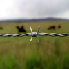 Double Strand Twist Barbed Wire