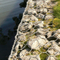 Gabions Mesh