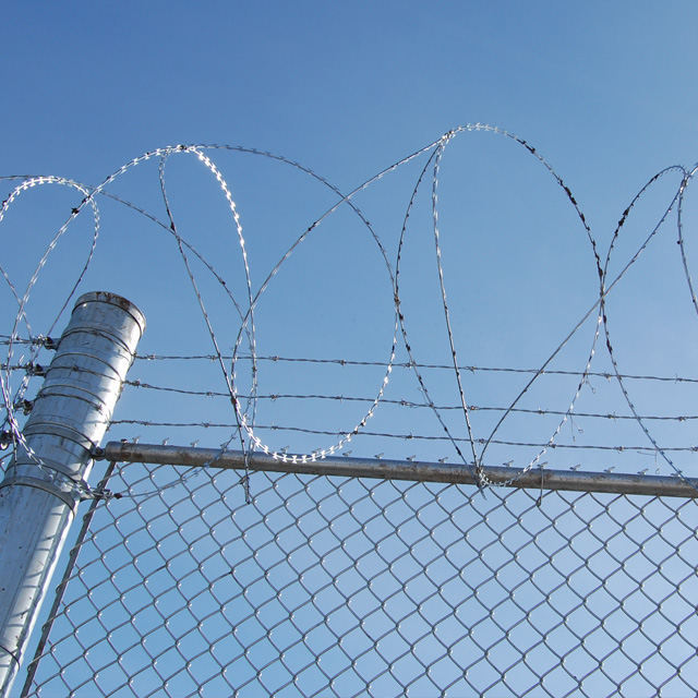 Galvanized Chain Link Fence