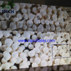 Zinc Sulphate Monohydrate Granular Fertilizer Grade 33% 