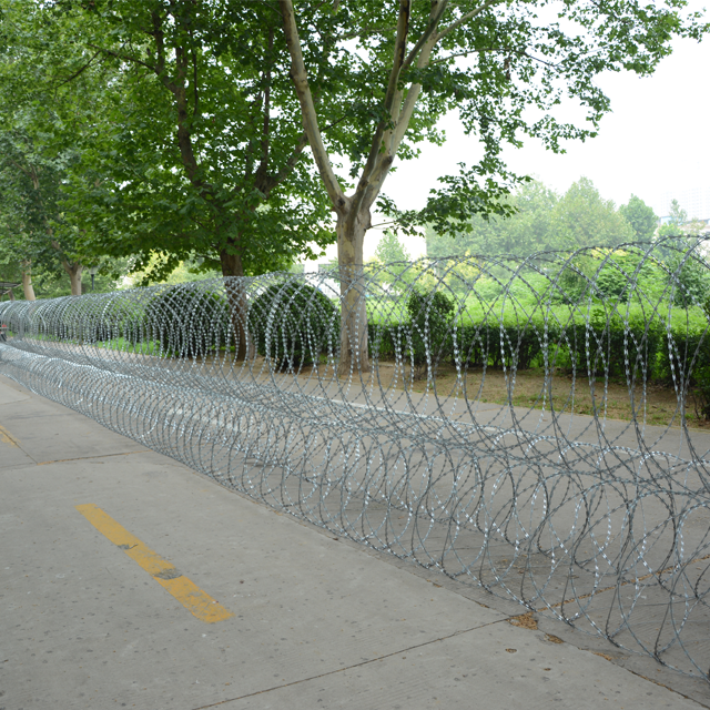 triple-strand razor wire