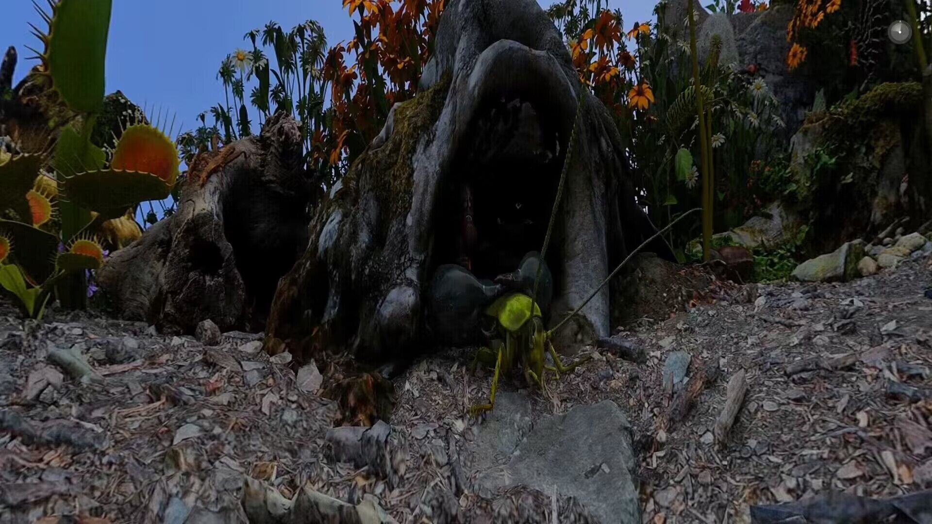 الغابات المطيرة