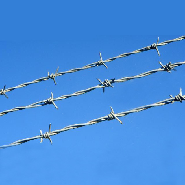 Barbed Wire