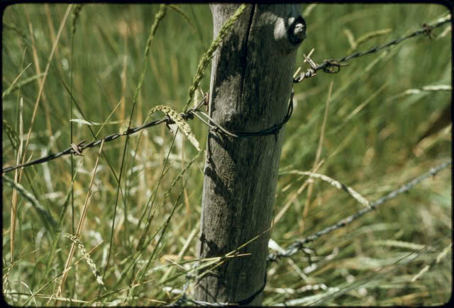 Our Barbed Wire With Military Is Not Only For Military