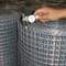 Galvanized Welded Wire Mesh
