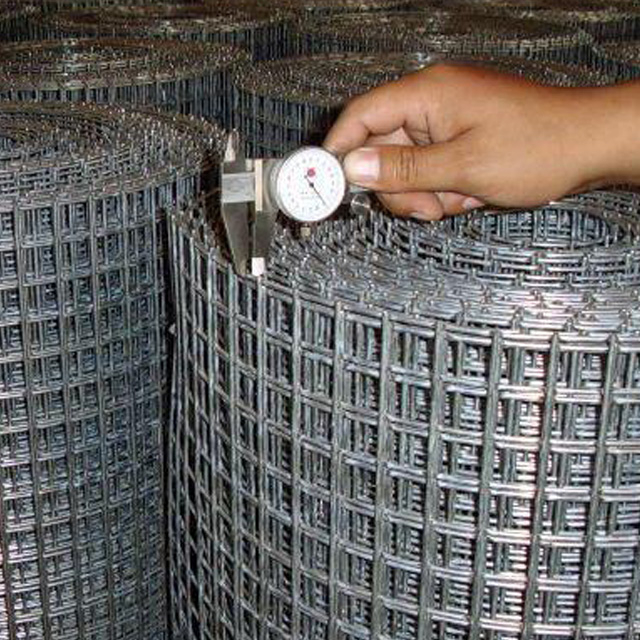 Galvanized Welded Wire Mesh