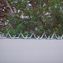 Wall Spike