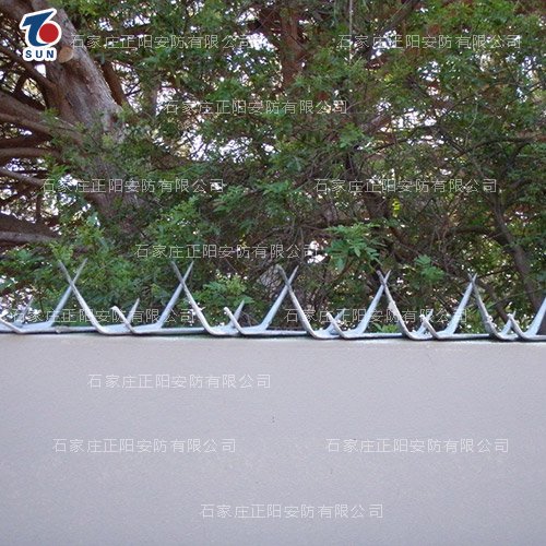 防爬刺钉
