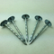 Roofing Nails