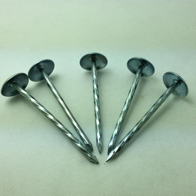 Roofing Nails